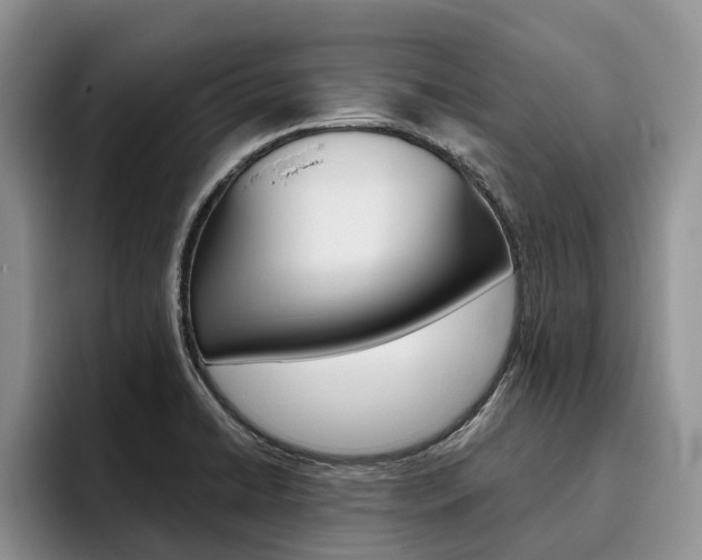 X0000096181422200801180841