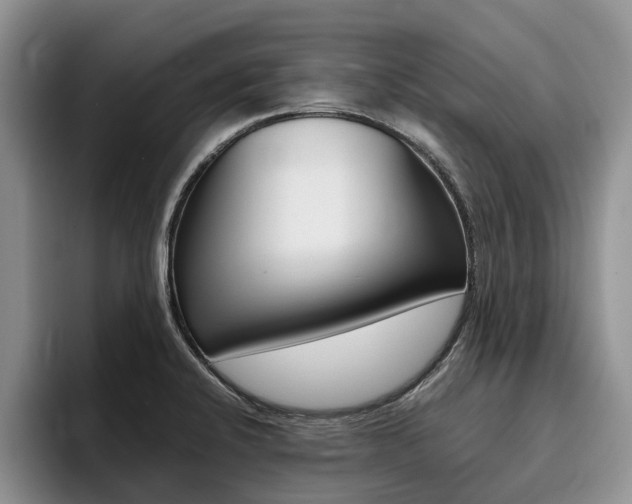 X0000096181424200801180841