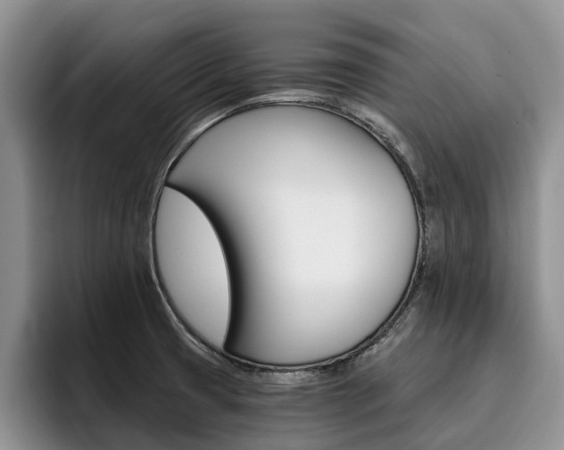 X0000096181425200801180841