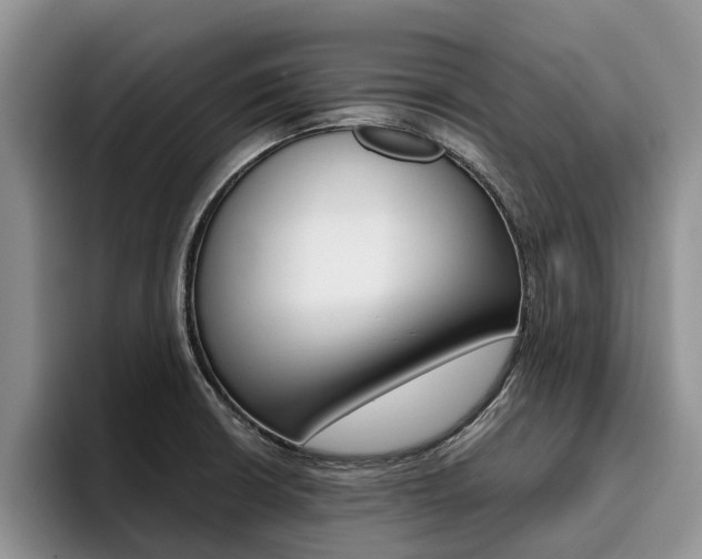 X0000096181426200801180841