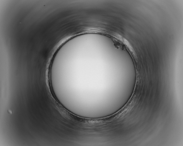 X0000096181427200801180841