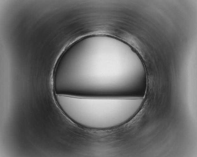 X0000096181428200801180841