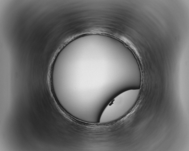 X0000096181429200801180841