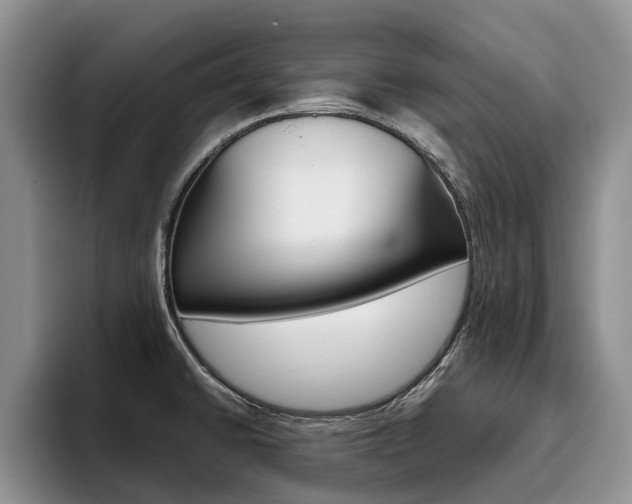 X0000096181430200801180841