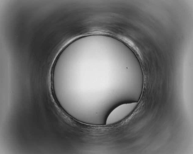 X0000096181431200801180841