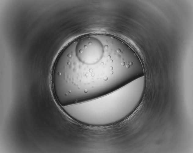 X0000096181432200801180841