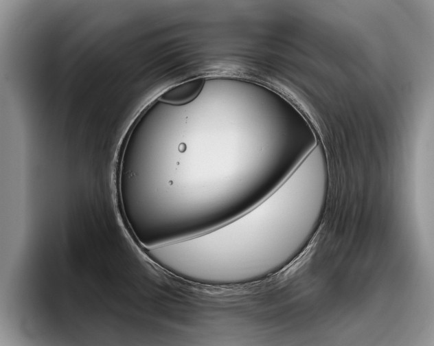 X0000096181434200801180841