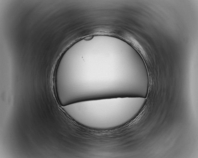 X0000096181435200801180841