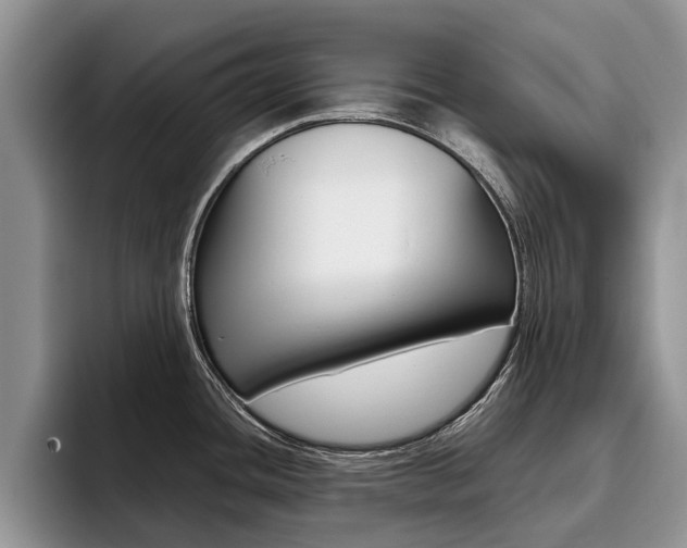X0000096181436200801180841