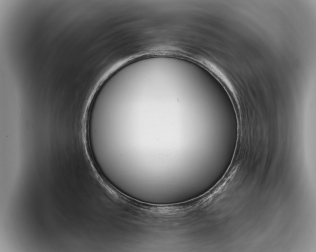 X0000096181437200801180841