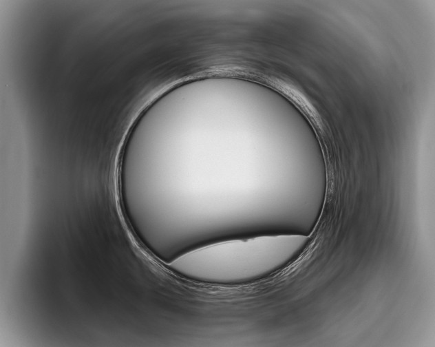 X0000096181439200801180841
