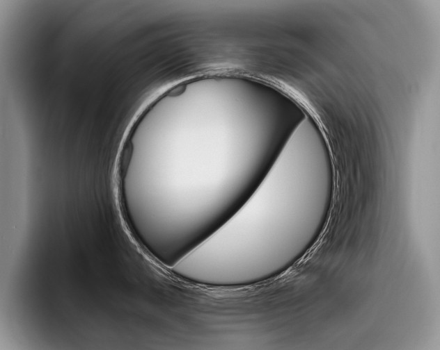 X0000096181440200801180841