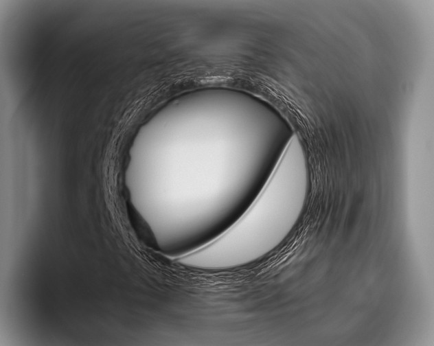 X0000096181441200801180841
