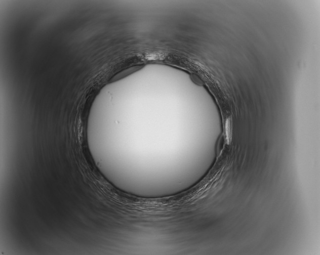 X0000096181443200801180841