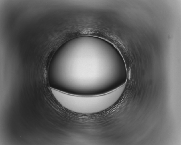 X0000096181444200801180841
