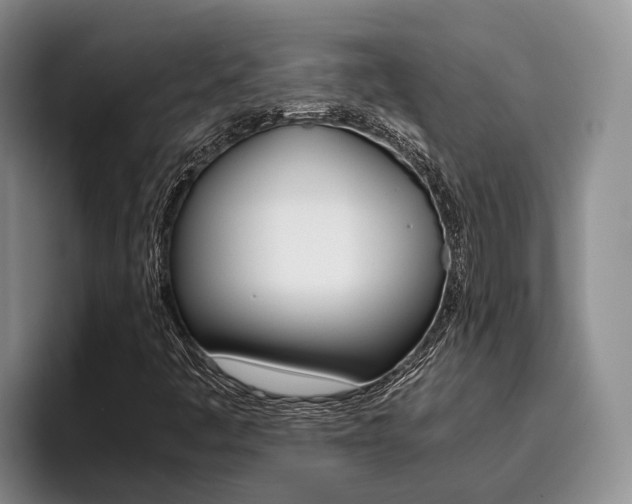 X0000096181445200801180840