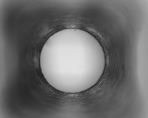 X0000096181446200801180840