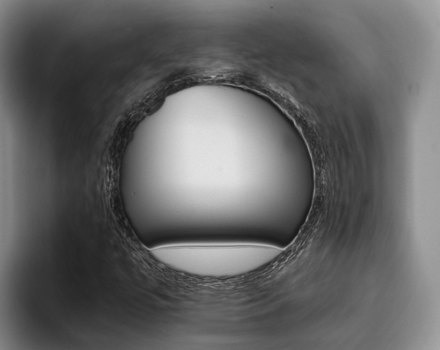 X0000096181447200801180840