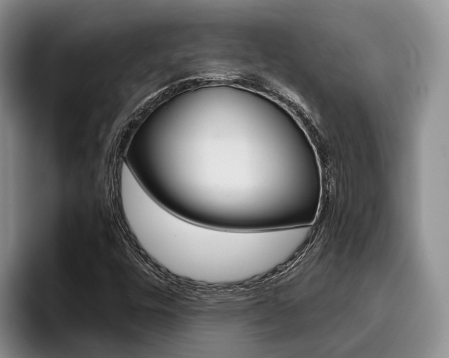 X0000096181448200801180840