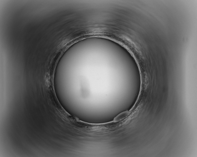 X0000096181449200801180840