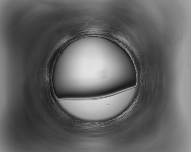X0000096181450200801180840