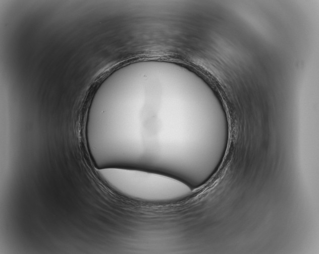 X0000096181451200801180840