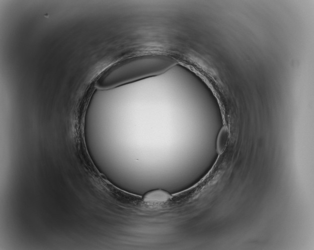 X0000096181453200801180840