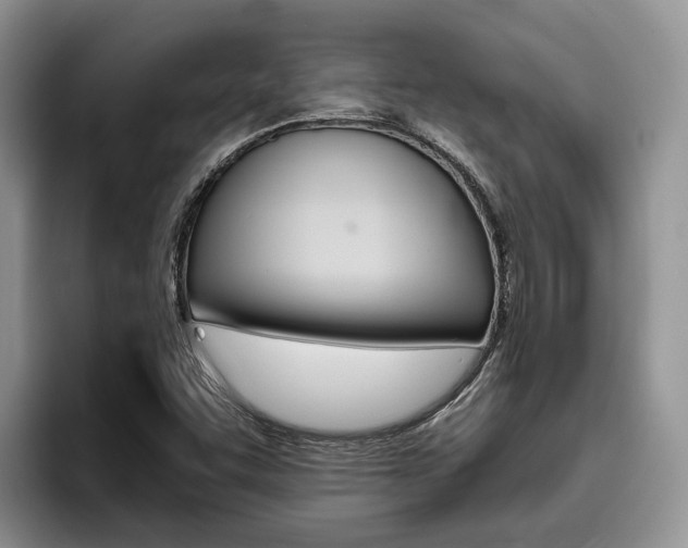X0000096181455200801180840
