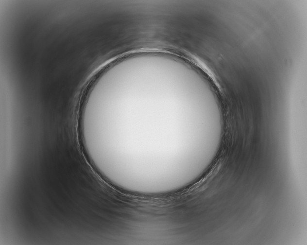 X0000096181456200801180840