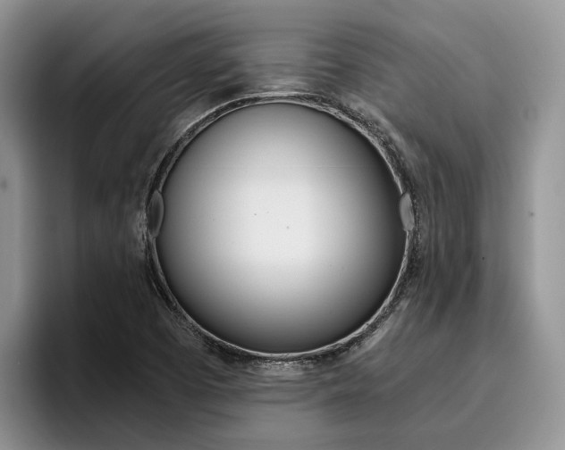 X0000096181457200801180840