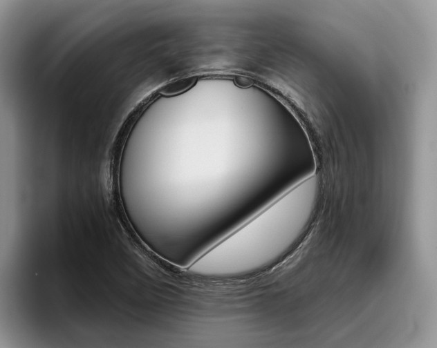 X0000096181458200801180840