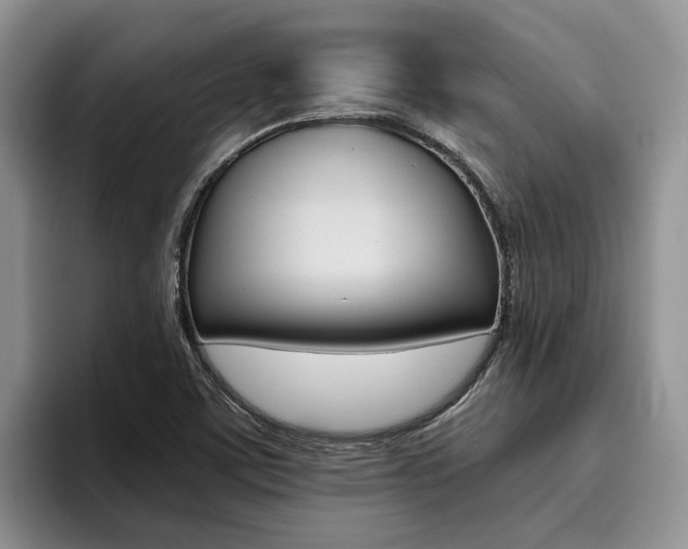 X0000096181459200801180840