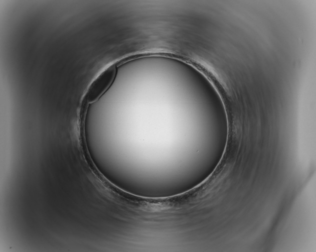 X0000096181460200801180840