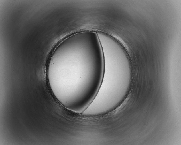 X0000096181461200801180840