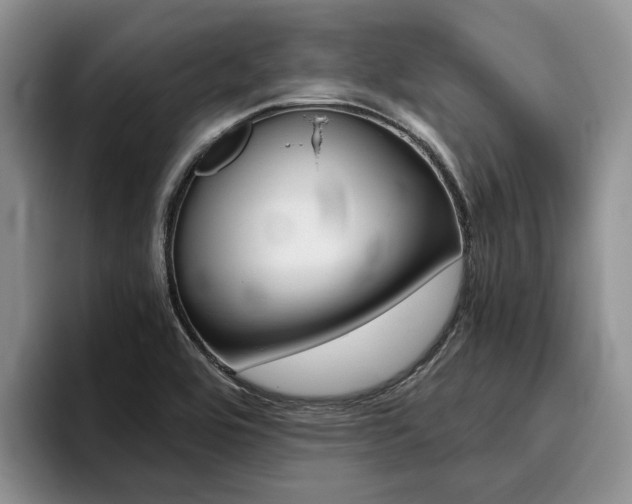 X0000096181464200801180840