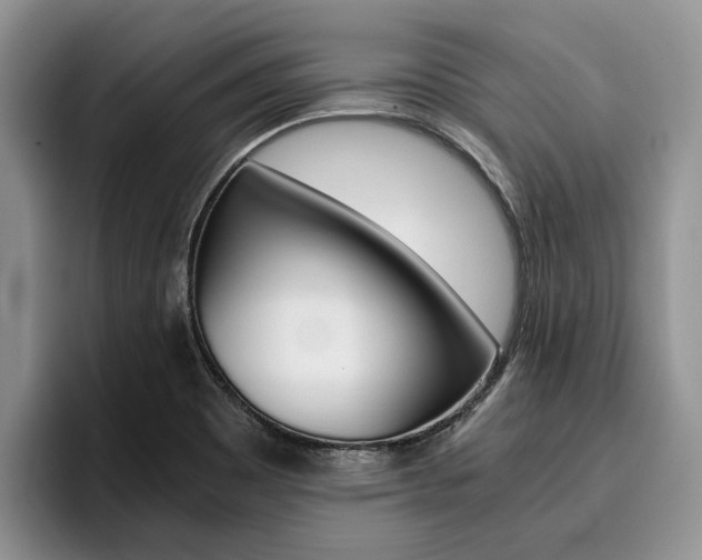 X0000096181465200801180840