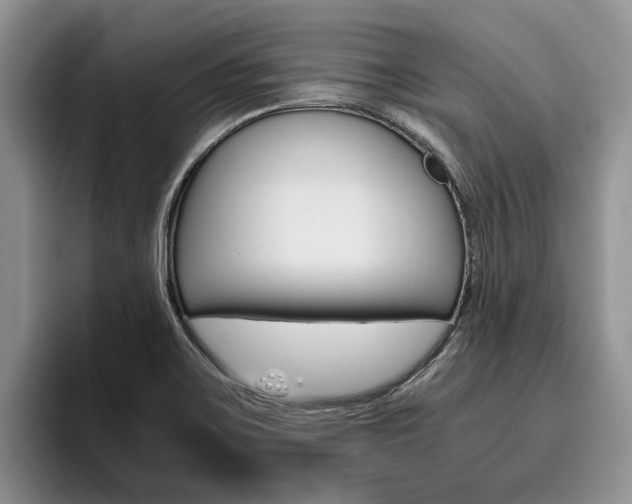 X0000096181467200801180840