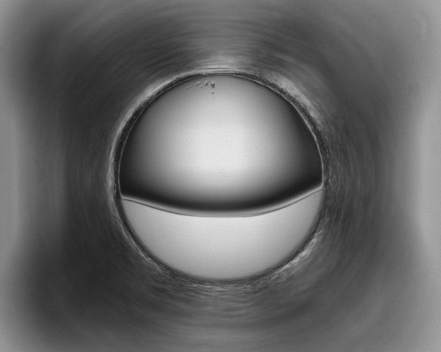 X0000096181469200801180840