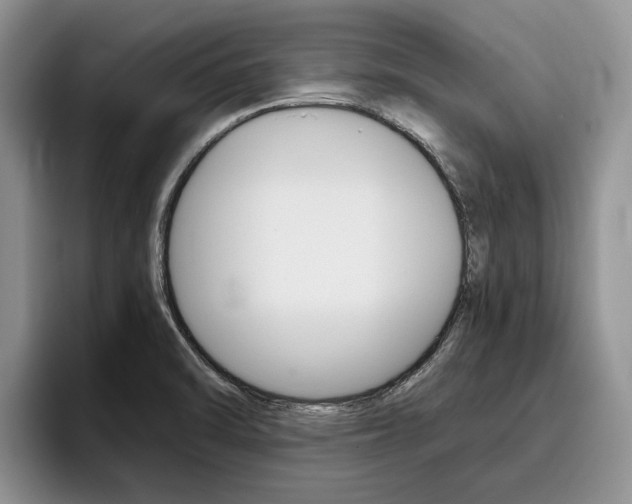 X0000096181470200801180840