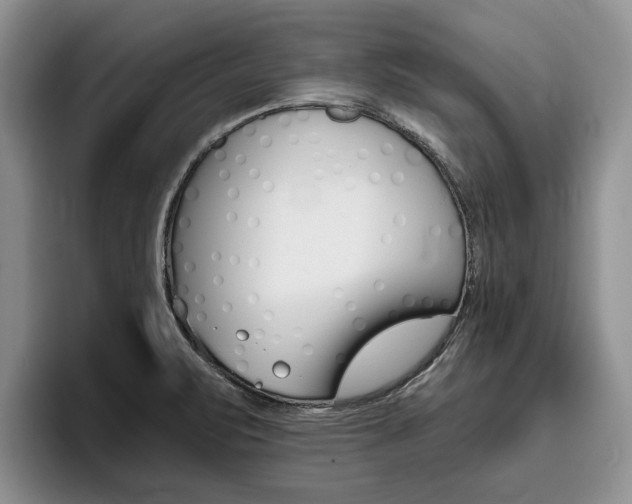 X0000096181471200801180840