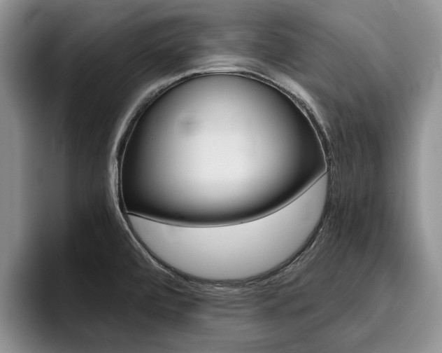 X0000096181472200801180840