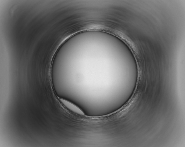 X0000096181473200801180840