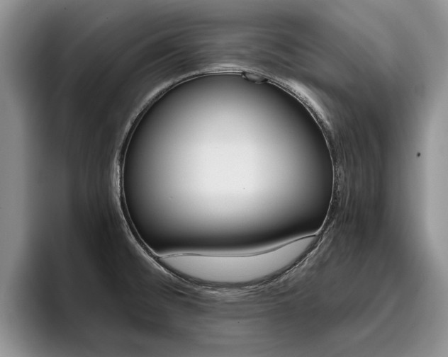 X0000096181476200801180840