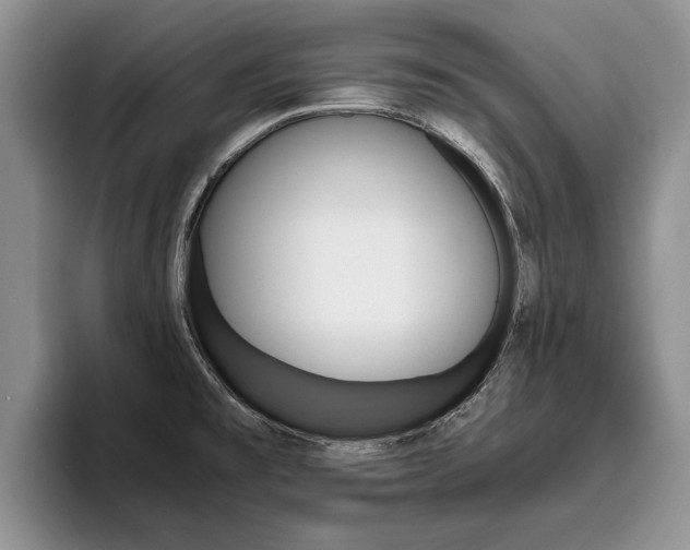 X0000096181477200801180840