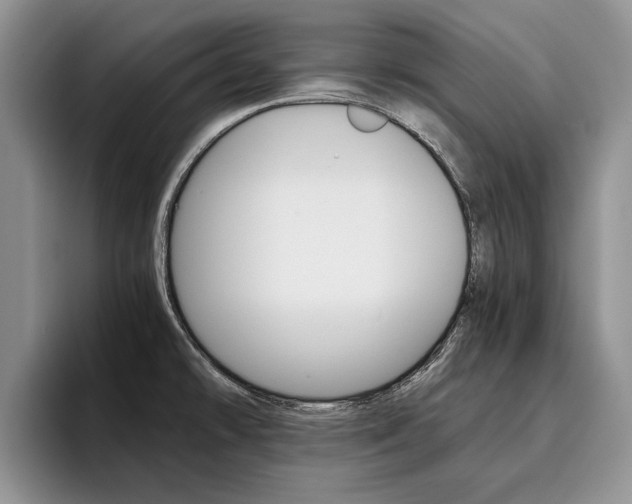 X0000096181478200801180840