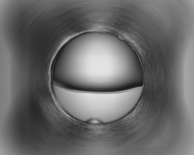 X0000096181479200801180840