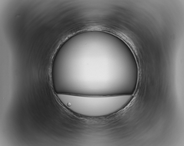 X0000096181481200801180840