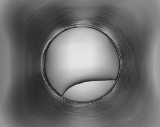X0000096181482200801180840