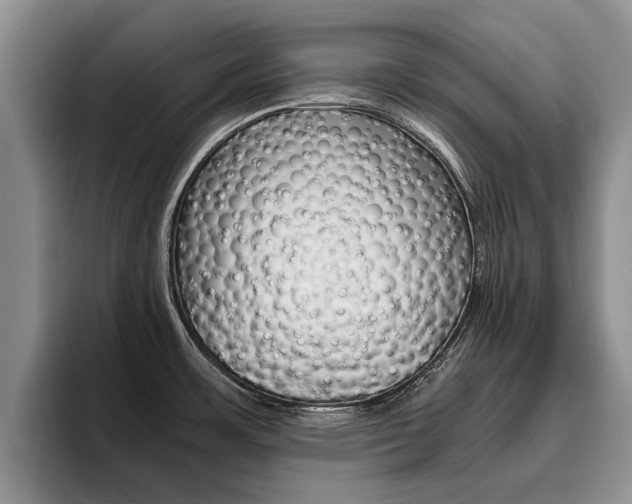 X0000096181483200801180840