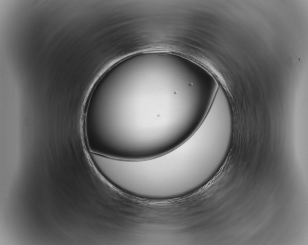 X0000096181484200801180840